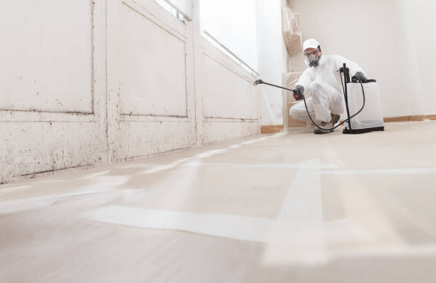 24/7 Emergency Commercial Mold Remediation experts in Lake Zurich, IL