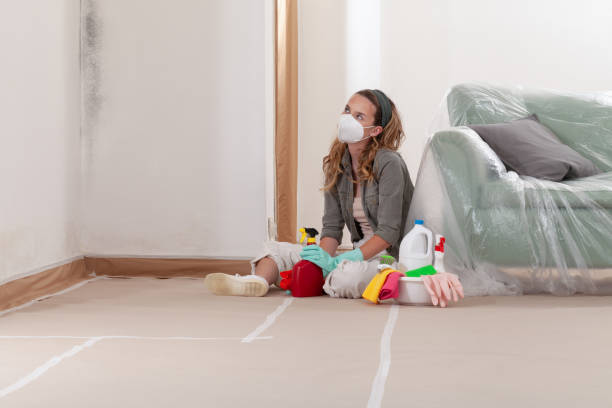 Reliable Commercial Mold Remediation contractor in Lake Zurich, IL by 24 Hour Mold Removal